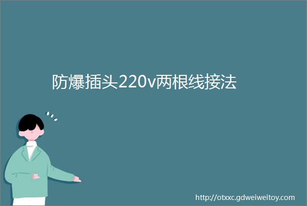 防爆插头220v两根线接法