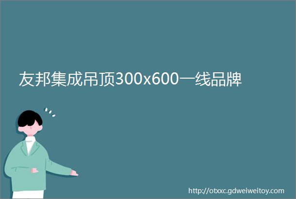 友邦集成吊顶300x600一线品牌